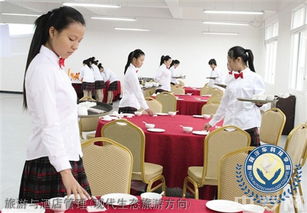 榆林旅游、酒店與職業教育深度解析 從能源化工到旅游管理，再到電商咨詢